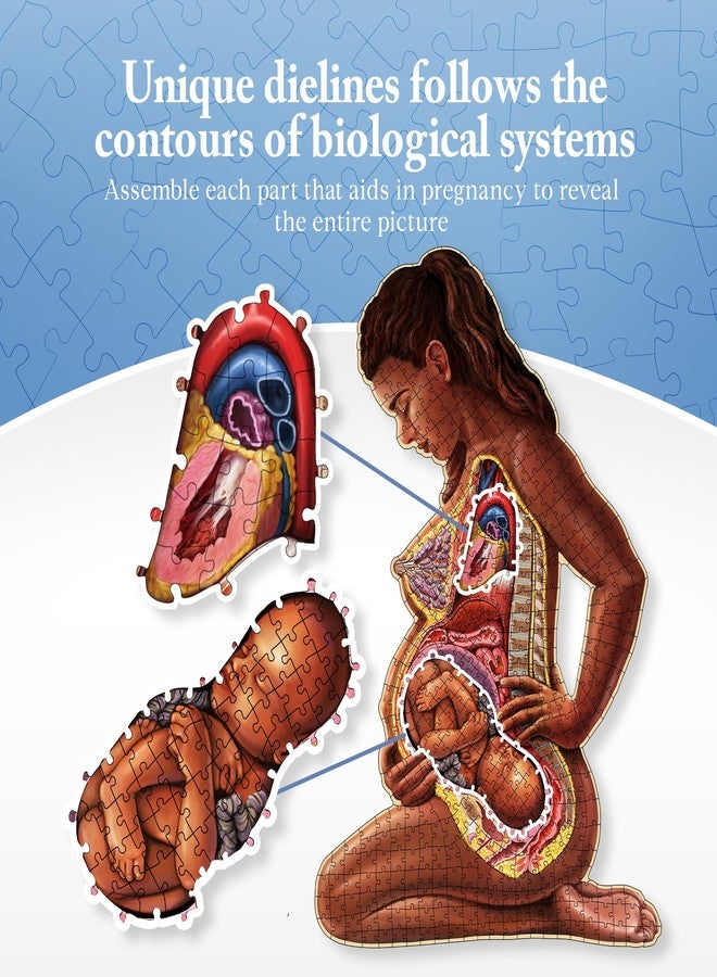 Genius Games Pregnant Mother Anatomy Jigsaw Puzzle | 488-Piece Science Accurate Adult Puzzle | Educational and Entertaining 3ft x 2ft Poster Size Puzzle | Ideal Gift for Mothers, Educators & Medical Professionals - Image 3
